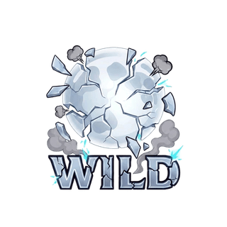 Wild — break frame