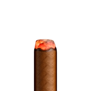Bolt tip — the ember head